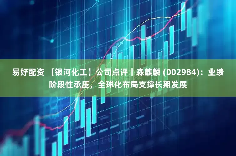 易好配资 【银河化工】公司点评丨森麒麟 (002984)：业绩阶段性承压，全球化布局支撑长期发展