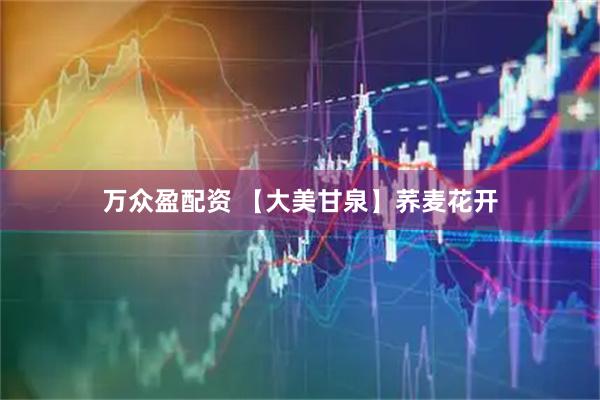 万众盈配资 【大美甘泉】荞麦花开