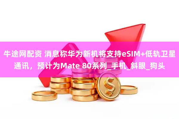 牛途网配资 消息称华为新机将支持eSIM+低轨卫星通讯，预计为Mate 80系列_手机_斜眼_狗头